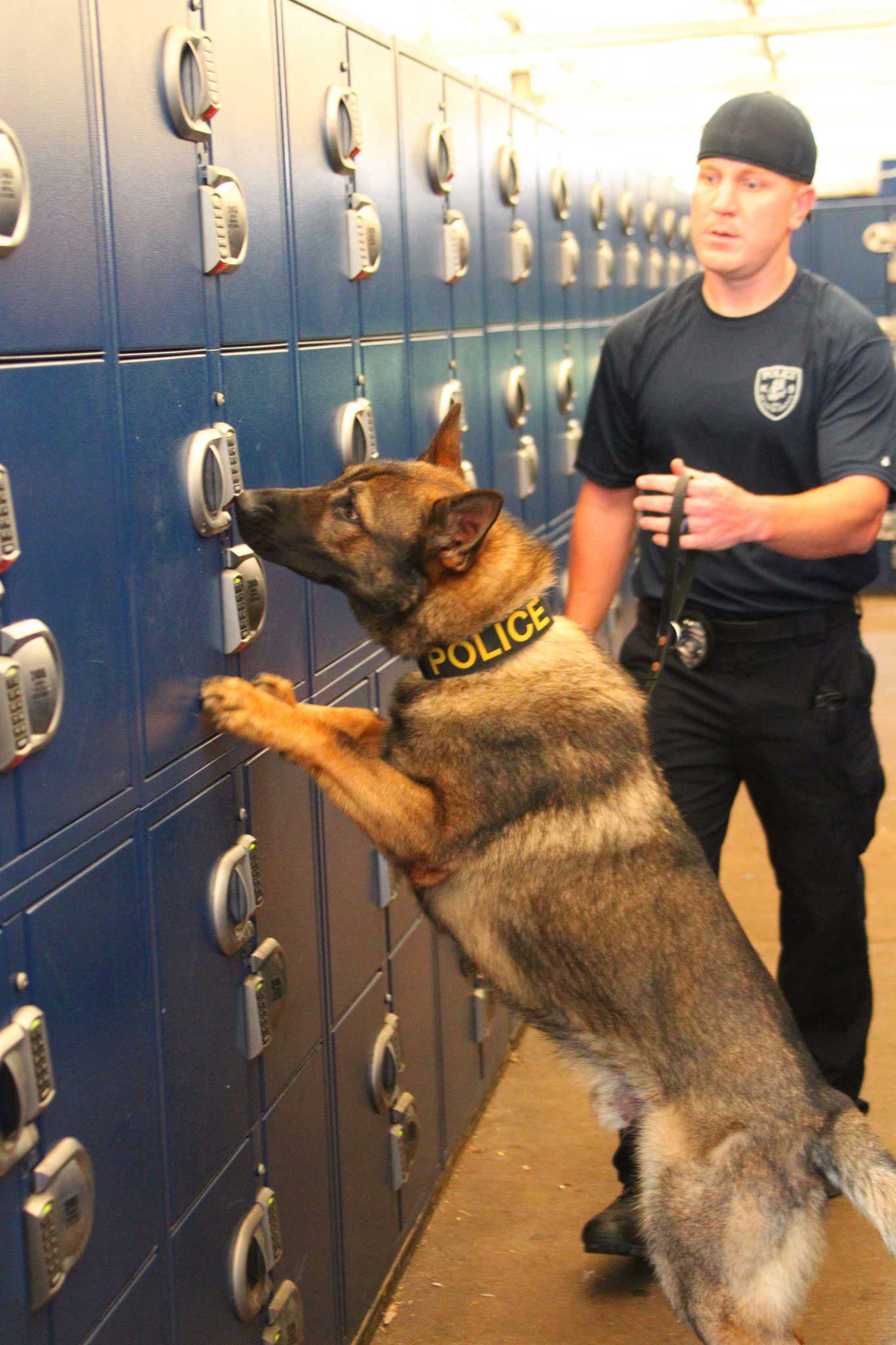 why do policemen keep dogs